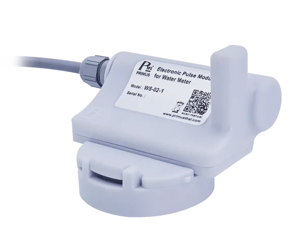 WS-02