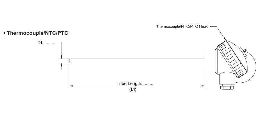 TS_-07